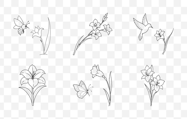 Imprimir Gladiolus Line Art Vector Set Elegantes ilustraciones florales para el diseño y la decoración Perfecto f