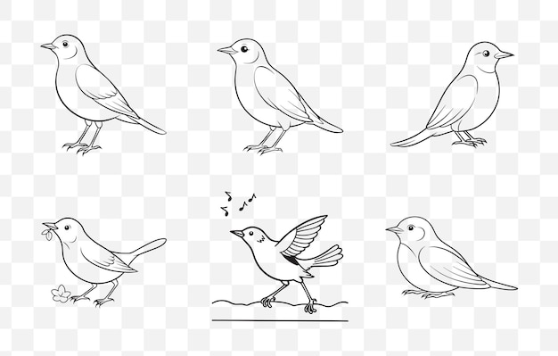 Imprimir Nightingale Line Art Vector Set Elegantes ilustraciones de pájaros para proyectos y diseños creativos