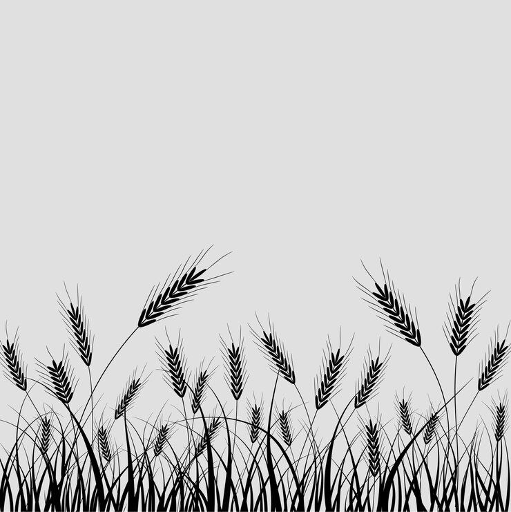 imprimir papel pintado ilustración vector diseño fondo dibujo camiseta logo ciudad