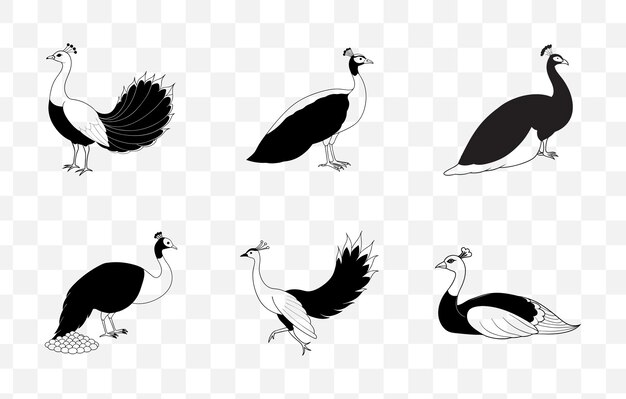 Imprimir Peafowl Line Art Vector Set con ilustraciones detalladas para proyectos artísticos y de diseño