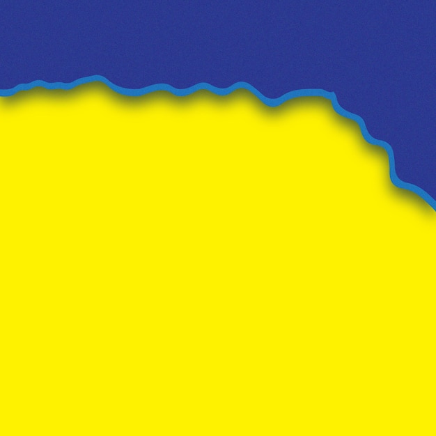 Imprimir