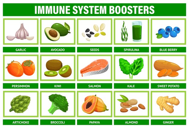 Impulsores del sistema inmunológico superalimento frutas verduras