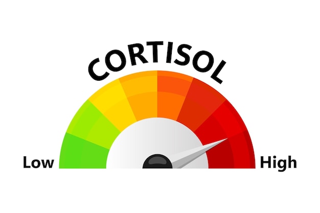 Un indicador rojo y amarillo con la palabra cortisol