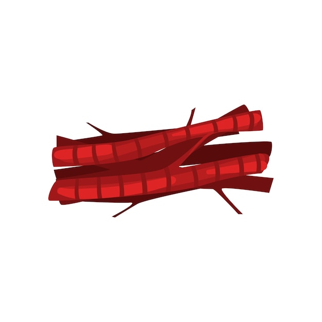 Inervación muscular, vector de tejido conectivo ilustración aislada sobre fondo blanco.