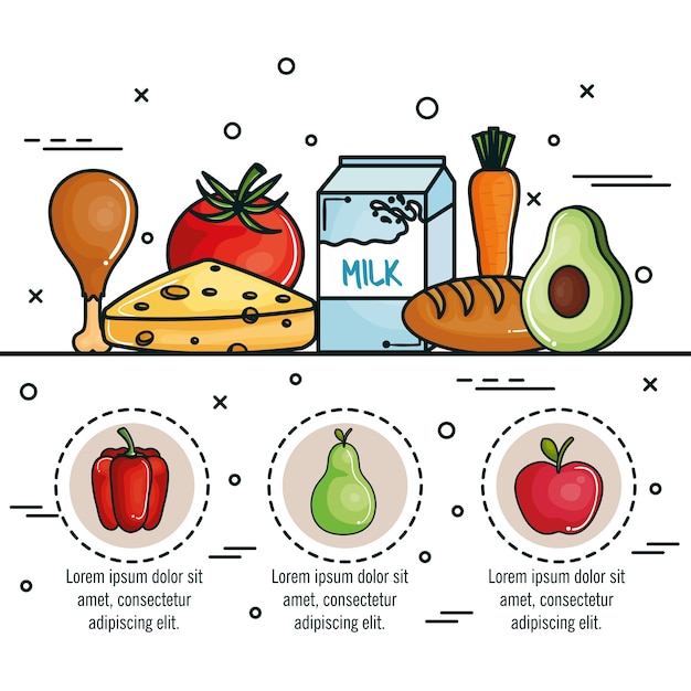 Vector infografía de alimentos