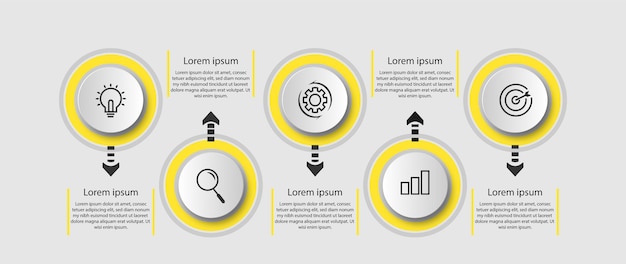 Infografía circular de la línea de tiempo de los pasos de información.
