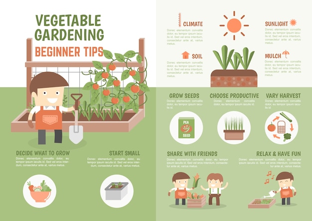 Vector infografía cómo cultivar consejos para principiantes vegetales