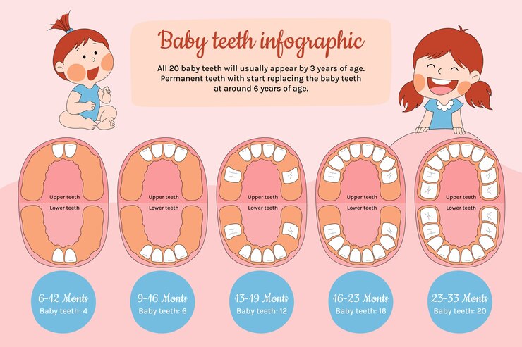 Vector infografía de dientes de leche dibujados a mano