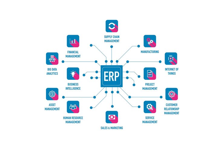 Vector infografía del diseño del icono de planificación de recursos empresariales (erp)