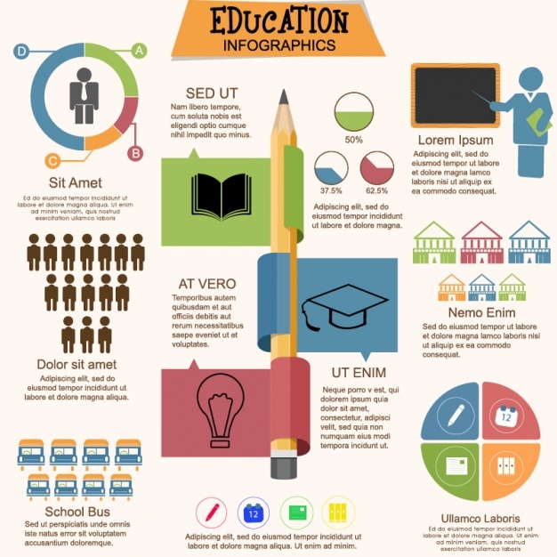 Vector infografía educativa con gráficos en diseño plano