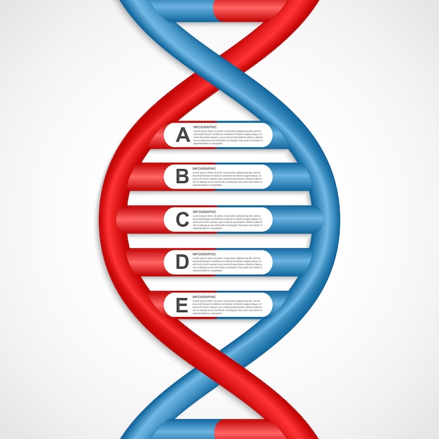 Infografía en la forma de hélice de ADN.