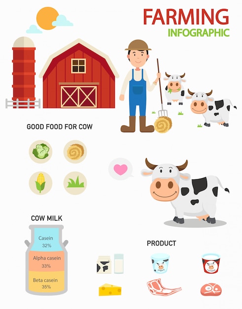 Infografía de granja de vacas, ilustración