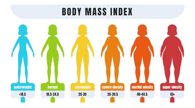 Vector infografía del índice de masa corporal del imc de la mujer para personas con obesidad y peso normal diagrama para diagnosticar la adiposidad o el bajo peso siluetas femeninas de pancarta vectorial flaca a gorda