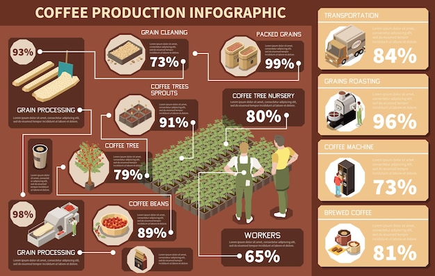 Infografía isométrica de la industria de producción de café que representa la ilustración de vector de paquete de tostado de limpieza de procesamiento de grano de vivero de árbol de café