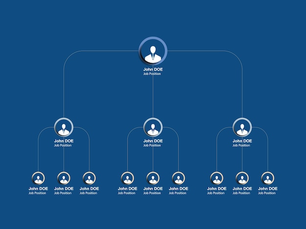 Vector infografía de jerarquía empresarial de estructura de gestión empresarial multinivel con elementos redondos