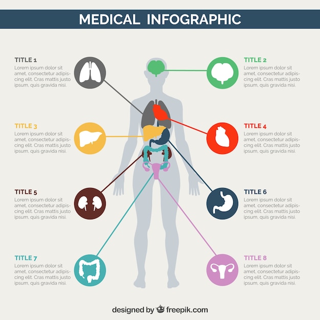 infografía médica del cuerpo humano
