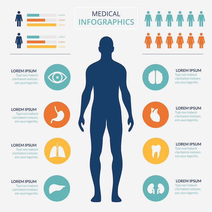 Vector infografía médica