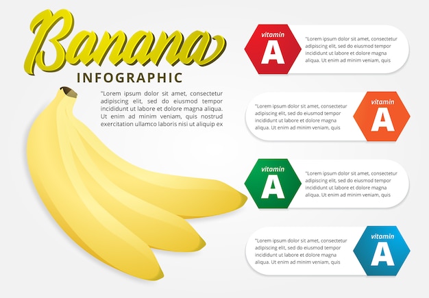 Vector infografía moderna para fruta de plátano con concepto de detalle