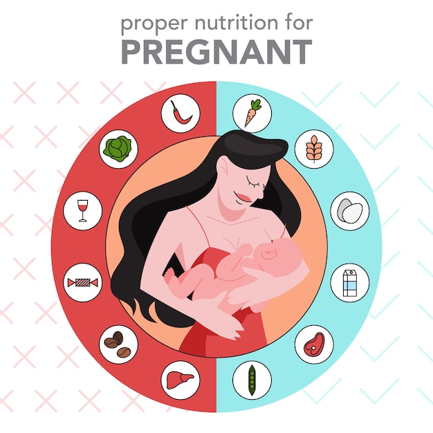 Infografía de nutrición para mujer embarazada. Dieta saludable para bebé. Información sobre la alimentación durante cada trimestre.