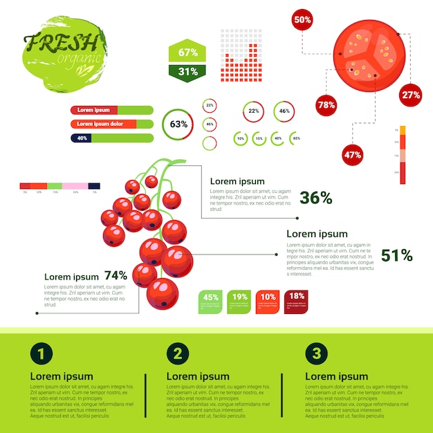 Vector infografía orgánica fresca crecimiento de frutas naturales, agricultura y agricultura.