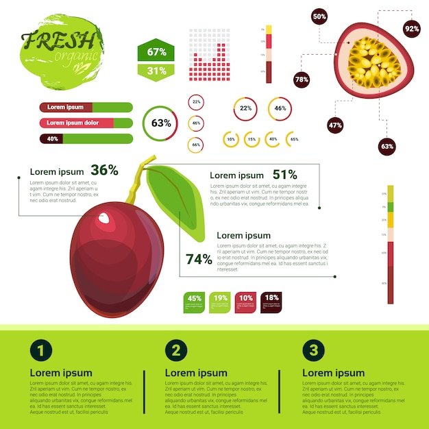 Vector infografía orgánica fresca crecimiento de frutas naturales, agricultura y agricultura.