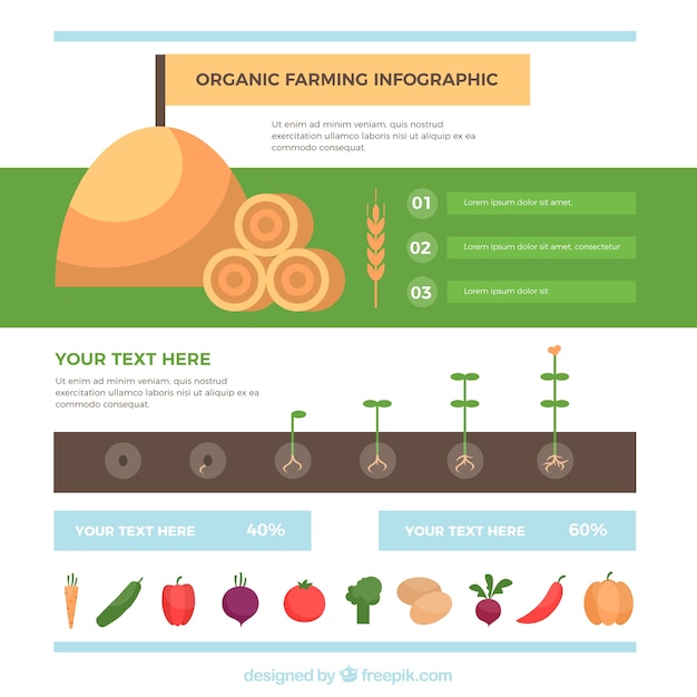 Vector infografía orgánica plana en tonos suaves