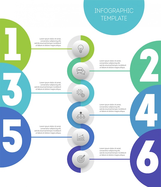 Vector infografía con pasos