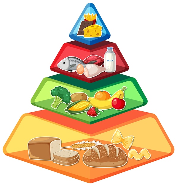 Vector infografía de la pirámide alimenticia de dibujos animados una guía nutricional