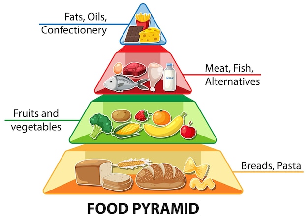 Infografía de la pirámide alimenticia de dibujos animados Una guía nutricional