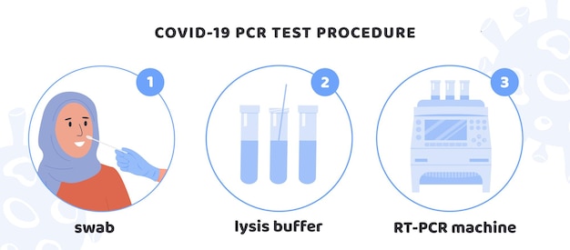 Vector infografía del procedimiento de prueba covid-19. enfermera con guantes de látex toma una prueba de hisopado nasal de una mujer musulmana