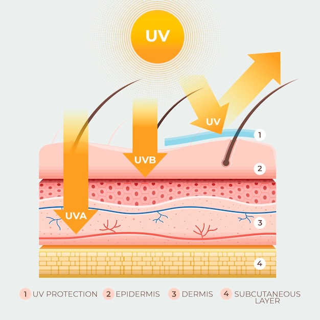 Infografía de protección solar realista