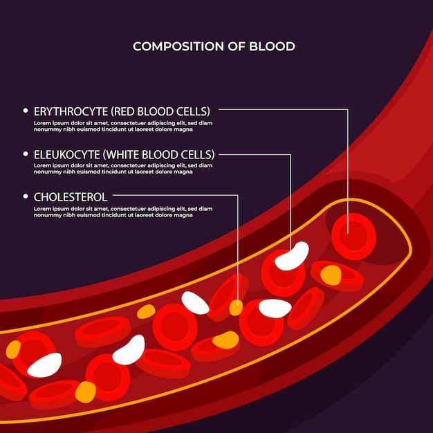 Infografía de sangre en diseño plano.