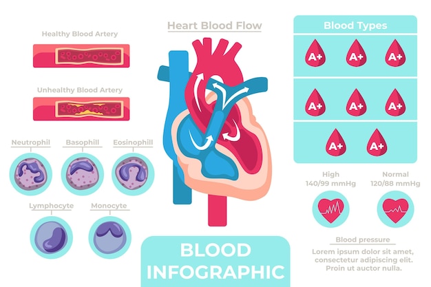 Vector infografía de sangre lineal con elementos ilustrados.