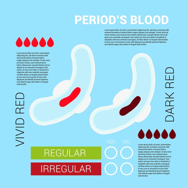 Vector la infografía de la sangre del período