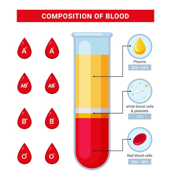 Infografía de sangre vectorial, ilustración de diseño de composición de sangre