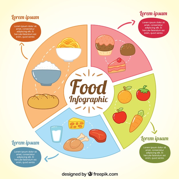 Vector infografía con secciones de comida