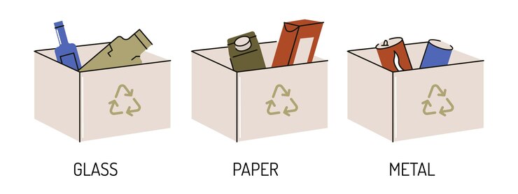Vector infografía de segregación y reciclaje de recogida de residuos.