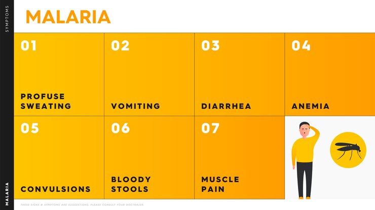 Vector infografía vectorial que muestra los síntomas de la malaria, que incluyen diarrea, anemia, vómitos, calambres