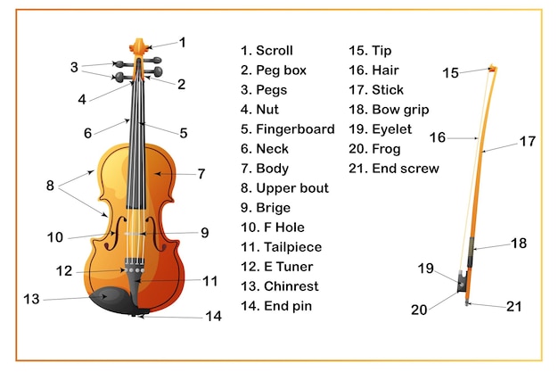 Infografía de violín y arco La estructura de un instrumento musical Desmontar un violín Material para aprender