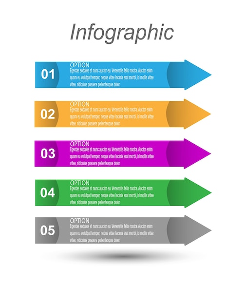 Infografías con pasos y opciones para el diseño de negocios y la plantilla del sitio web
