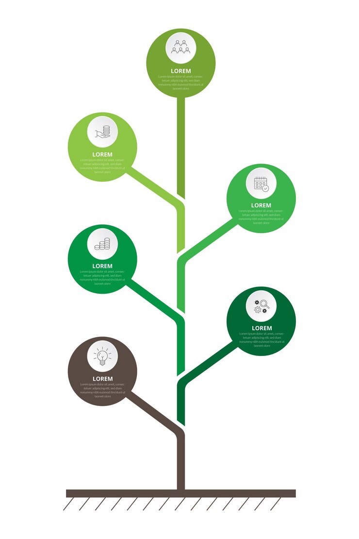 Vector infográfico del árbol de crecimiento empresarial y etapas del proceso