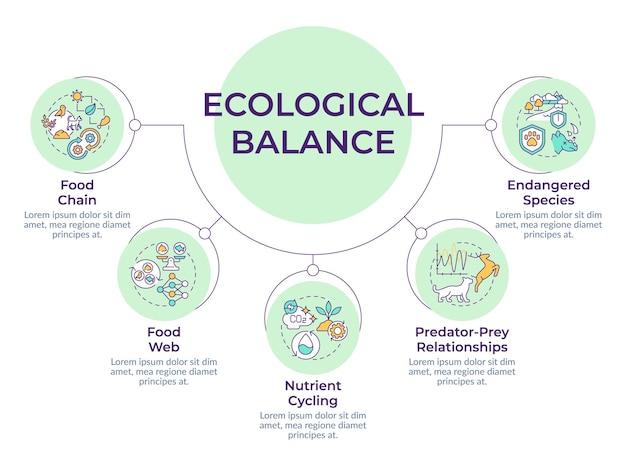 Infográfico de diagrama circular del equilibrio ecológico