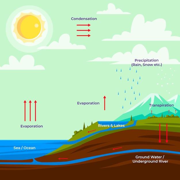 Vector información del ciclo del agua dibujada a mano.