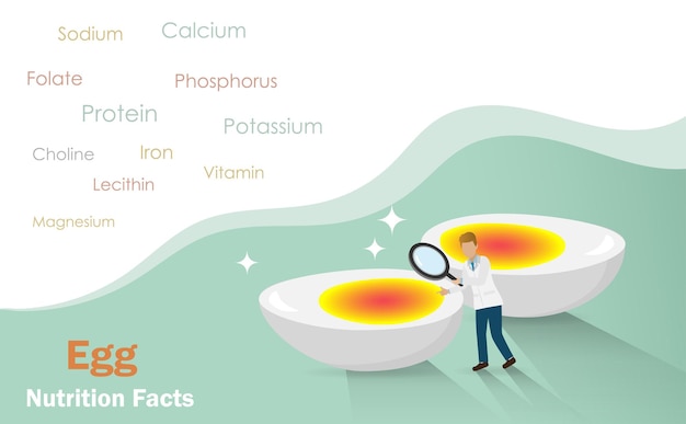 Información nutricional del huevo el científico usa una lupa para inspeccionar el huevo hervido con información nutricional