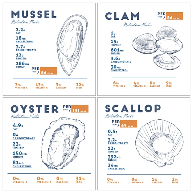 Vector información nutricional de la mano de shell dibujar dibujo vectorial