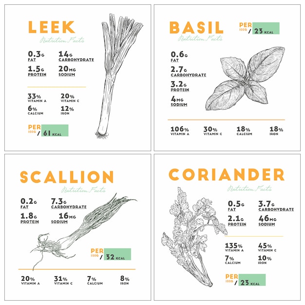 Información nutricional de puerro, albahaca, cebolleta y cilantro.