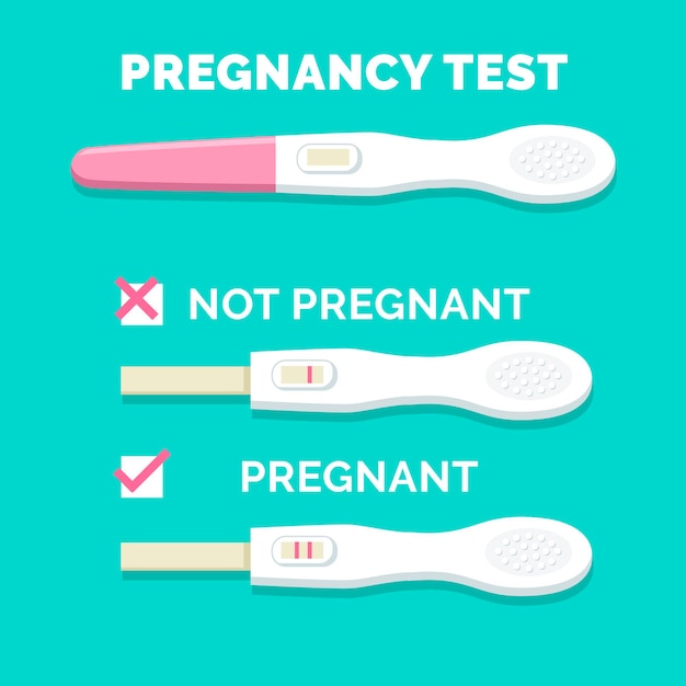 Información sobre la prueba de embarazo