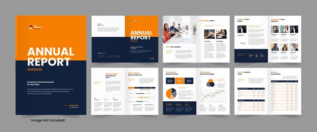 Informe anual y diseño del informe anual