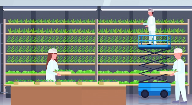 Ingenieros agrícolas en uniforme sosteniendo plantas en macetas con plataforma elevadora de tijera personas que trabajan moderno orgánico granja vertical interior verde agricultura industria concepto horizontal