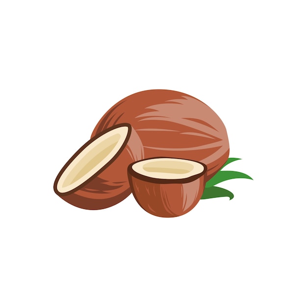 Ingrediente esencial del coco maduro en la cocina tradicional